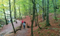 Doğa Koruma İçin Yeni Dönem: Milli Parklar Kanunu Meclis’ten Geçti