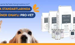 Veteriner Serisi Mama Nedir? Kedi ve Köpekler İçin Özel Beslenme Çözümleri
