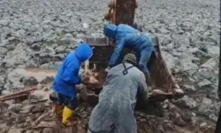 Şanlıurfa'da çamura saplanan inek kepçeyle kurtarıldı