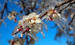 Meteoroloji uyardı: Gece sıcaklıklar 0 derecenin altına düşecek