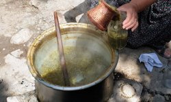 Kahramanmaraş'ta Tirşik Festivali: Altın Ödüllü Yarışma Başlıyor!