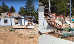 Kahramanmaraş'ta Ayı Saldırısı: Şantiye Kullanılamaz Hale Geldi!