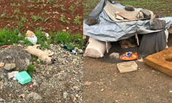 Pazarcık’ta Yürek Sızlatan Olay : 9 Köpekten 4’ü Ölü Bulundu