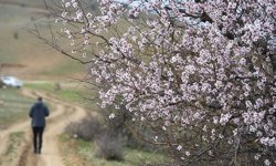 Meteoroloji Açıkladı Hava Değişiyor: 21 Nisan Salı Hava Durumu