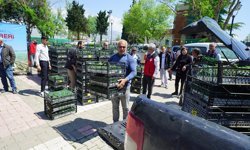 Kahramanmaraş'ta 500 Çiftçiye 650 Bin Hibe Biber Fidesi!