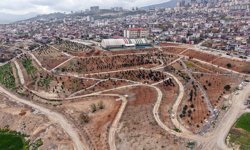 Kahramanmaraş'ta Karbon Yutak Alanı Projesi’nde Çalışmalar Sürüyor