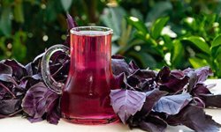 Kahramanmaraş’ta 500 Yıllık Serinlik! Reyhan ve Nar Çiçeği Şerbetine Yoğun İlgi