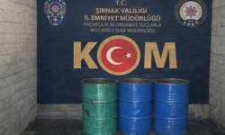 Şırnak'ta kaçakçılık ve asayiş operasyonlarında 2 zanlı tutuklandı