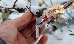 Meteoroloji’den Çiftçilere Uyarı! Bu Gece Başlıyor