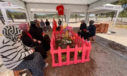 Kapıçam’da Pembe Bir Hüzün Çiçeği Açtı: Almina'nın Mezarı Pembeye Boyandı
