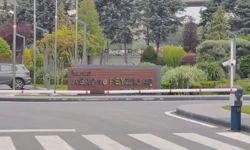 İBB’ye Yeni Operasyon! Ağaç A.Ş. İhaleleri Mercek Altında: 29 Gözaltı