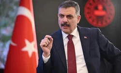 Bakan Çiftçi Tarih Verdi! Sahipsiz Sokak Hayvanları İçin Yeni Yol Haritası