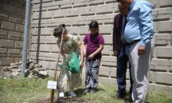 Kahramanmaraş’ta Yitirilen Canların Anısına Zeytin Fidanları Toprakla Buluştu