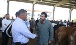 Kahramanmaraş’ta Kurban Pazarı Hareketliliği Sürüyor