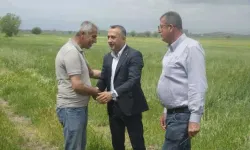 Ziraat Odası Başkanı Çetinkaya Çiftçilerin Gününü Tarlada Kutladı
