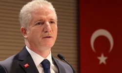 Vali Gül’den Sokak Hayvanları Açıklaması: "Bu Görev Belediyelerindir"
