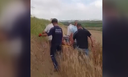 Adana'da tarlaya devrilen otomobildeki 1 kişi öldü, 1 kişi yaralandı