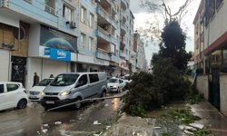 Şanlıurfa'da fırtınada üzerine elektrik direği devrilen otomobildeki 2 kişi yaralandı