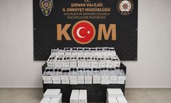 Şırnak'ta kaçakçılık operasyonunda yakalanan 1 şüpheli tutuklandı