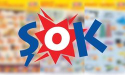 ŞOK 13 Mayıs 2026 Aktüel Ürünler Kataloğu: Samsung Ev Aletleri, Kule Tipi Vantilatör ve Hava Soğutucu Geliyor!