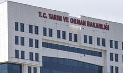 Tarım ve Orman Bakanlığı Personel Alımı Başladı! 92 Kişi İstihdam Edilecek