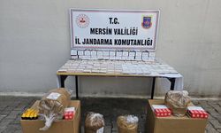 Mersin'de sigara kaçakçılığı iddiasıyla 2 şüpheli yakalandı