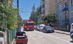 Tokat'ta çıkan yangında yatalak yaşlı adam hayatını kaybetti