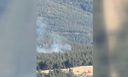 Nurdağı'ndaki Orman Yangınına Kahramanmaraş OGM Ekipleri Yetişti