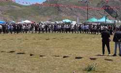 Yaşıl Yaylası'nda İlk Koyun Kırpma Şenliği Coşkusu!