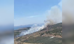 İzmir'de Korkutan Orman Yangını! Alevler Tarım Arazisinden Ormana Sıçradı