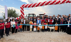 708 dekarlık mera üretime kazandırıldı