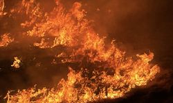 Şanlıurfa'da anız yaktığı iddia edilen şüpheli gözaltına alındı