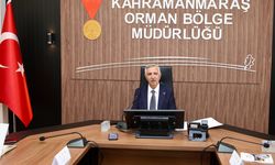 Valimiz Mükerrem Ünlüer Başkanlığında Orman Yangınlarıyla Mücadele Toplantısı Gerçekleştirildi