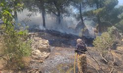 Kahramanmaraş’ta Ormanlık Alanda Çıkan Yangın Söndürüldü