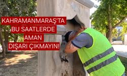 Kahramanmaraş'ta Kavurucu Sıcaklar Etkisini Artırdı: Vatandaşlar Gölgelik Alanlara Akın Etti