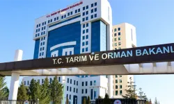 Tarım ve Orman Bakanlığı 1.874 Personel Alımı Yapıyor! Başvuru Tarihleri ve Şartları Belli Oldu