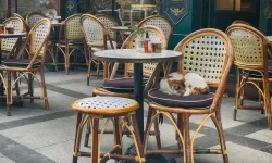 Restoran ve Kafelerde "Evcil Hayvan" Dönemi Kapanıyor Mu? Tarım Bakanlığı’ndan Flaş Taslak!