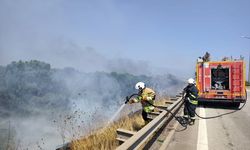 Hatay Erzin’de Otoyol Kenarında Yangın: İtfaiyeden Hızlı Müdahale!