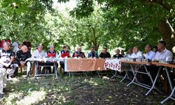 Andırın’ın Dünyaca Ünlü Çığşar Kirazında Hasat Heyecanı: 1600 Rakımdan Avrupa’ya İhracat!