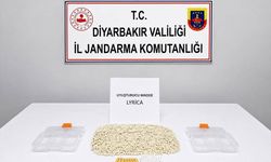 Diyarbakır'da uyuşturucu operasyonlarında 2 şüpheli hakkında işlem yapıldı