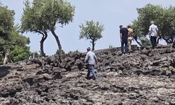 Hatay'da kaybolan kadın için arama çalışması başlatıldı