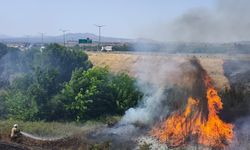 Erzin ilçesinde otluk alanda çıkan yangın söndürüldü
