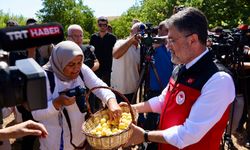Bakan Yumaklı Malatya'da Kayısı Hasadına Katıldı
