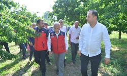 Andırın'da Kiraz Hasadına Protokol Ziyareti