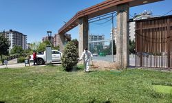 Kahramanmaraş'ta Park ve Mesire Alanlarında Kene Seferberliği Başladı: 130 Personel Sahada