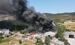 Kocaeli'de Boya Fabrikasında Faciaya Yol Açan Yangın: 1 İşçi Hayatını Kaybetti, 2 Yaralı