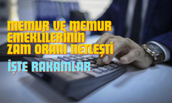 Temmuz Ayı Enflasyon Rakamları Açıklandı! Memur ve Emeklilerin Zam Oranı Belli Oldu