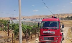 Siirt'te iki ayrı noktada çıkan yangınlar söndürüldü