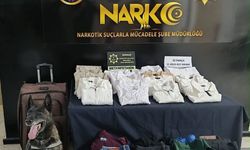 Şırnak'ta valizlerinde 11 kilo 457 gram uyuşturucu ele geçirilen yabancı uyruklu zanlı tutuklandı