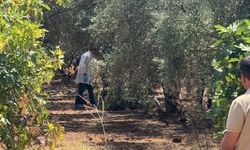 Antalya'da Kan Donduran Olay: Bir Genç Zeytinlik Alanda Elleri Bağlı Halde Ölü Bulundu!